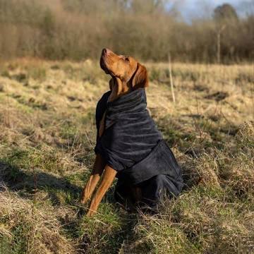 Stellar Pet Products Microfibre Robe Charcoal S