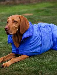 Stellar Pet Products Microfibre Robe Cobalt S