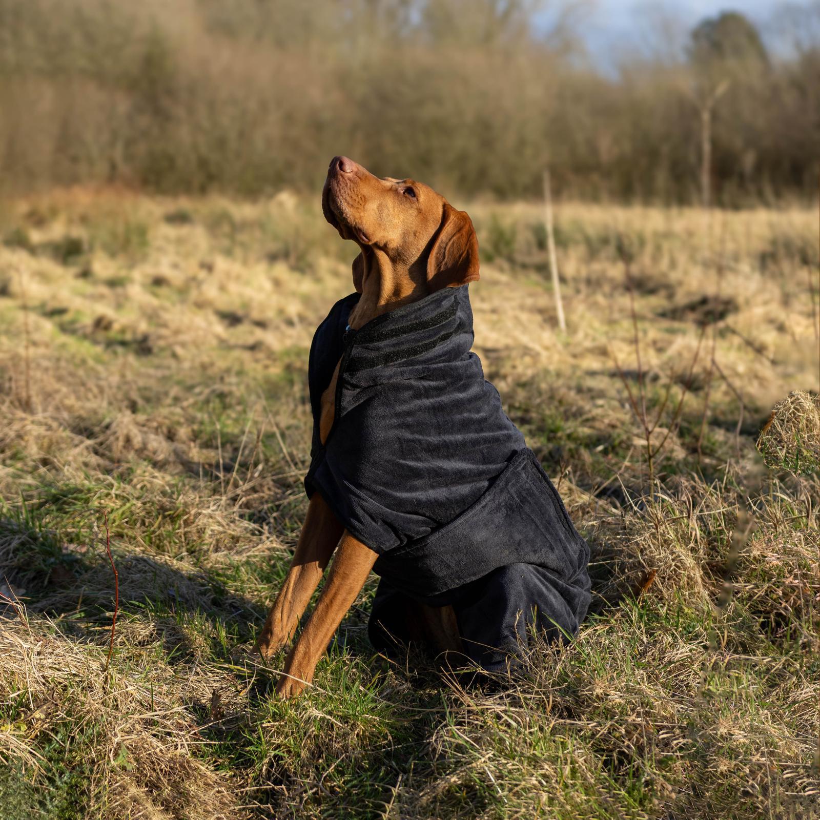 Stellar Pet Products Microfibre Robe - Charcoal XXXL